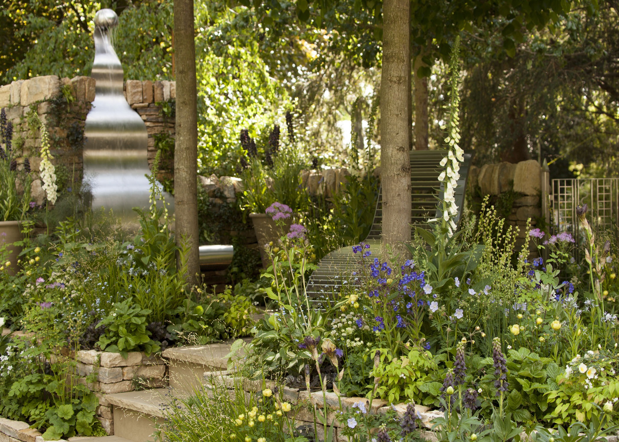 poetry lover's garden scoops silver medal poetry lover's garden scoops silver medal
