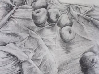 img 6100 apples in landscape