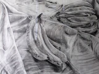 img 6300 bananas in landscape