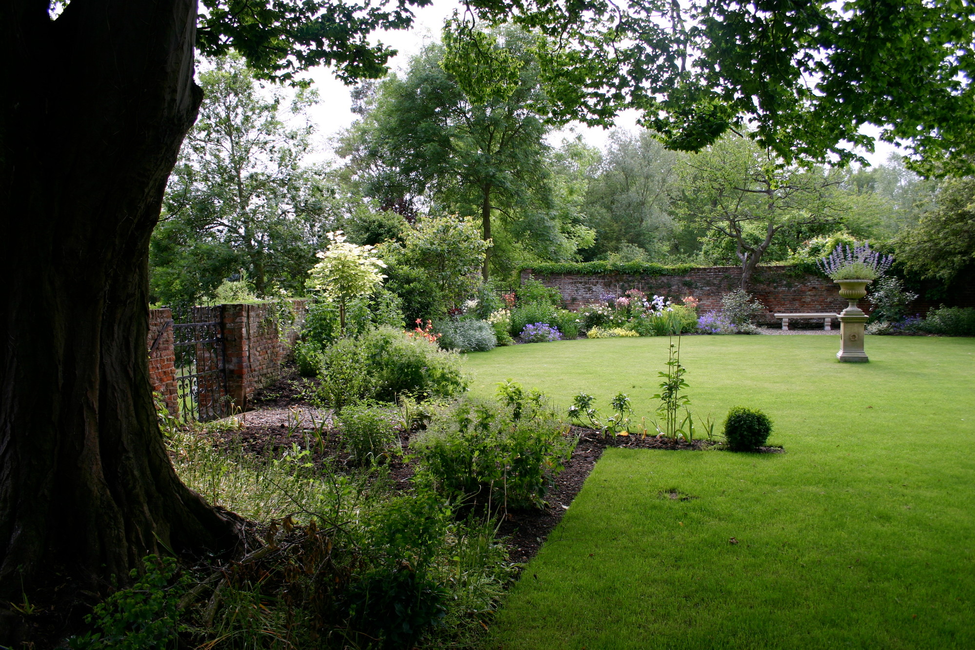 garden-with-tree